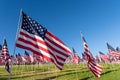 A large group of American flags. Veterans or Memorial day display Royalty Free Stock Photo