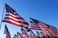 A large group of American flags. Veterans or Memorial day display Royalty Free Stock Photo