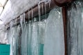 Very large icicles close up photo