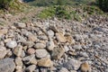 A very large number of stones scattered near the river Royalty Free Stock Photo