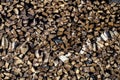 Very large pile of firewood, stacked in an old barn Royalty Free Stock Photo