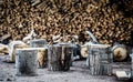 Very large pile of firewood, stacked in an old barn Royalty Free Stock Photo