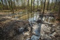 Very large puddles of water after heavy rain during springtime in a European forest. Daytime, wide-angle view, no people