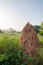 Very large termite hill standing in between high grass in early morning landscape, The Gambia, West Africa
