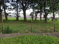 A very large vacant land fenced off in the west jakarta