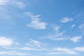 VERY LIGHT FEATHERY CLOUDS IN A BRIGHT BLUE SKY. Cirrus clouds in the blue sky,beautiful Cirrus uncinus Royalty Free Stock Photo