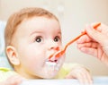 Very little kid eats fresh tasty nutritious curds on highchair Royalty Free Stock Photo