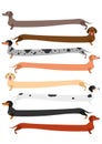 Very long colorful Dachshund set Royalty Free Stock Photo