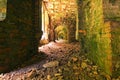 Very long corridor with many arches. Abandoned Tarakaniv Fort in the summer day. Tarakaniv, Rivne oblast, Ukraine Royalty Free Stock Photo