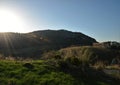 Very long shot of the Temple of Segesta in Sicily Royalty Free Stock Photo