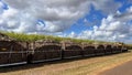 Very long Sugar Plantation Railway in Queensland Australia