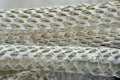 Very Long White Shedding Snake Skin on Wooden Floor