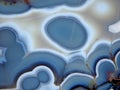 Blue Chalcedony Agate Rock Abstract