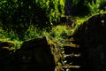 Ancient vineyard staircase made of natural stones with moss-vegetation Royalty Free Stock Photo