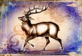 Antique stag art drawing handmade nature