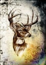 Antique stag art drawing handmade nature