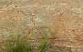 Very nice horizontal frame of cracked rock with green grass texture natural background. Royalty Free Stock Photo