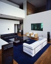 Very nice and light living room
