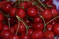 Nice red cherry close up in the sunshine Royalty Free Stock Photo