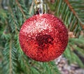 Very nice Red glitter decoration on the christmas tree