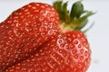 Nice red sweet strawberry close up in the sunshine Royalty Free Stock Photo