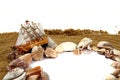 Sand frame with the shells and boat Royalty Free Stock Photo