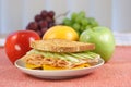 Very nice served picnic sandwich Royalty Free Stock Photo