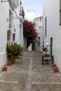 Very nice street decorated with plants and flower pots in Vejer de la Frontera, Spain Royalty Free Stock Photo