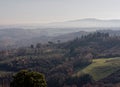 very nice view of tuscany meadow