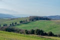 very nice view of tuscany meadow