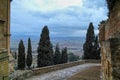 very nice view of tuscany meadow