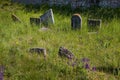 Very old abandoned Jewish cemetery