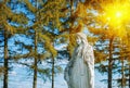 Very old and ancient stone statue of Virgin Mary in sunshine against blue sky and trees Royalty Free Stock Photo