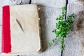 Very old antique book on the table with herb thyme on wooden background. Royalty Free Stock Photo