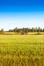 Very Old Barn In The Middle Of The Fields