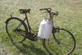 Old bicycle with aluminum milk bin to carry milk Royalty Free Stock Photo