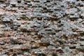 Very old brick stone wall of castle or fortress of 18th century. Full frame wall with obsolete dirty and cracked bricks