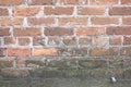 Old Dirty Brick Wall with Mildew and Mold Growing Royalty Free Stock Photo