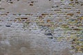 Very old brick wall textures at different historical buildings Royalty Free Stock Photo