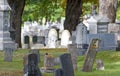 Old cemetery with leaning tombstones Royalty Free Stock Photo
