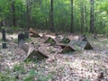 Very old cemetery in woods