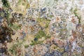 Very old damaged painted wall, abstract background Royalty Free Stock Photo