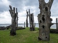 Very old dead trees by the maasplassen