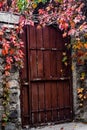 A very old door leafs around