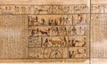 Egyptian hieroglyph`s character`s on papyrus