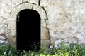 Very old entrance stone door and wall in forest Royalty Free Stock Photo