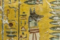 Very old fresco of the egyptian god Anubis Royalty Free Stock Photo