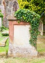 Very old gravestone with green leaves