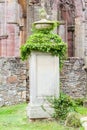 Very old gravestone with green leaves