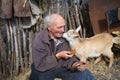 A very old man in messy clothes is sitting on a stool in the yard of an old farm and holding a white goat on his hands